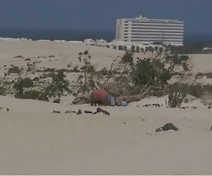 Mariels Niece and the old man on the beach