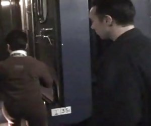 Sophia a mature ins stockings analfucked in a train