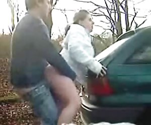 Stopping the car to fuck