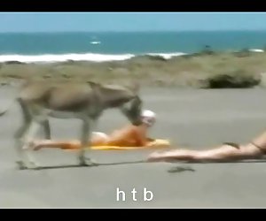 funny..4....h.t.b.
