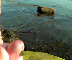 UK Beachcomber gets lucky again...